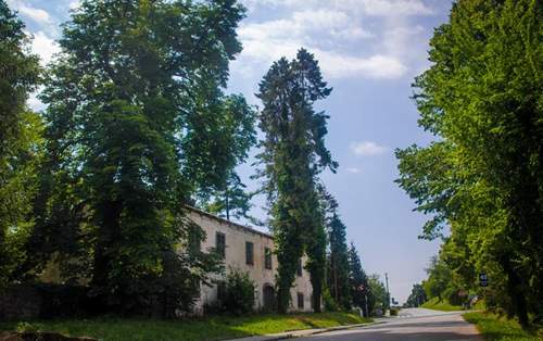 Kiepach Manor