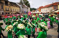 The Floral Corso