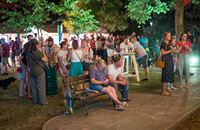 The Summer in Samobor