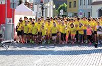 Samobor Night Run