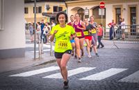 Samobor Night Run
