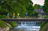 Samobor Night Run