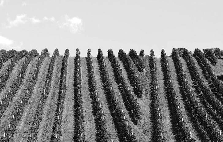 GoWine – putovima vina kroz Zelinu, Jastrebarsko i Samobor