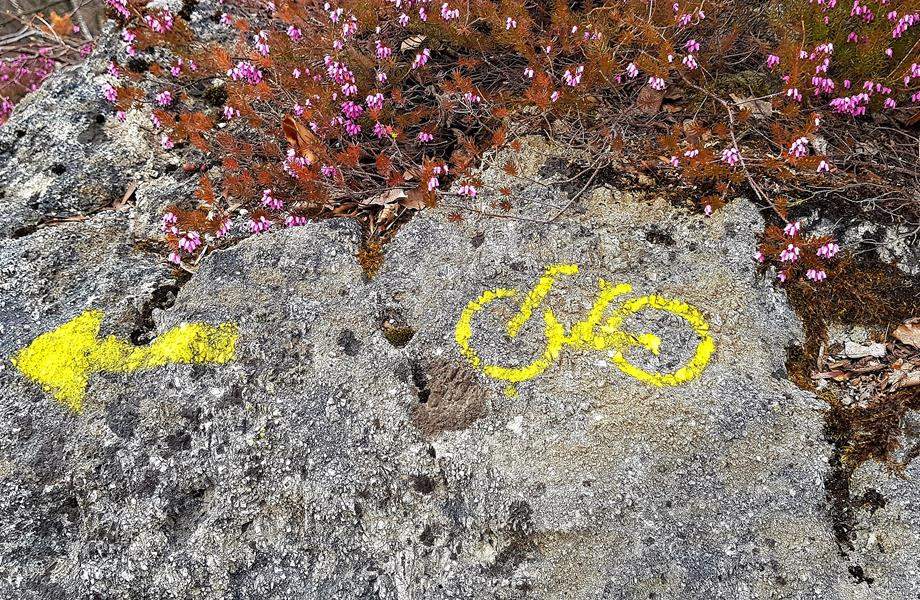 Samoborska biciklijada: do Okića na dva kotača