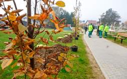 Samobor nastavlja sa sadnjom stabala