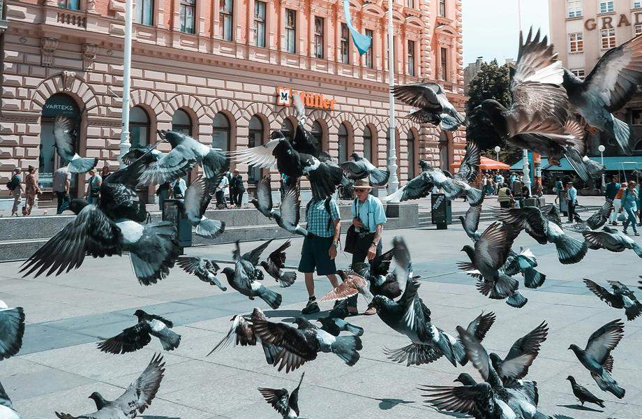 Jurica Ćorluka - Zračni prostor - Zagreb u 10 slika