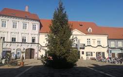 Postavljen bor na Trg kralja Tomislava