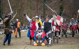 Bitka kod Samobora 1441.