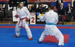 Svjetska karate elita u Samoboru