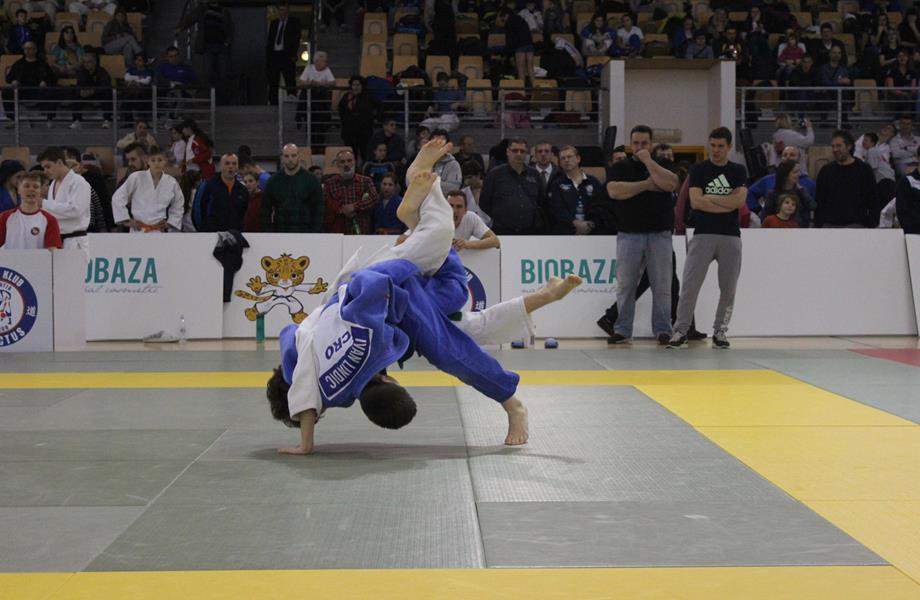 Judo cup Profectus by Biobaza