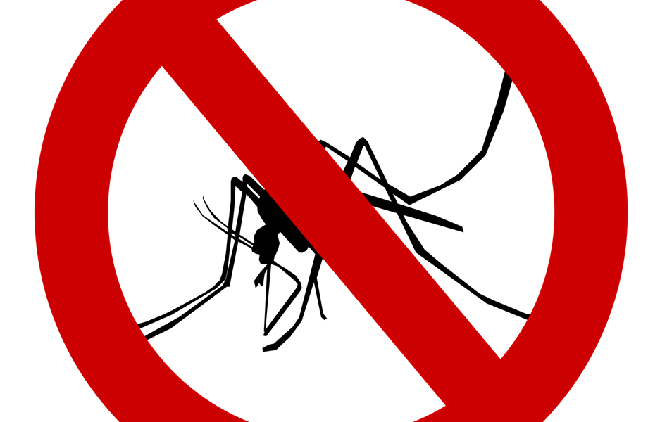 Larvicidni tretman suzbijanja komaraca