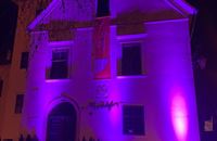 Samoborski muzej svijetli za oboljele od epilepsije 