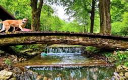 Spring Fusion: Bike&Hike