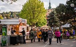 Javni poziv za davanje u zakup javnih površina na Trgu Matice hrvatske u vrijeme održavanja Samobor Craft Festivala
