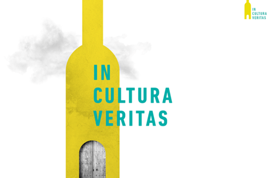 Kulturna baština u suživotu s vinom