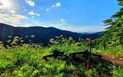 Bicycle touring and routes