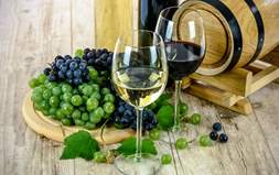 16. Večeri vina i pjesme