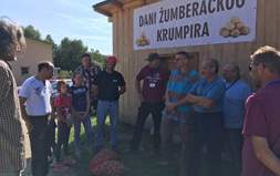 Prvi Dan žumberačkog krumpira