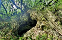 Špilje Vilinske jame