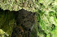 Špilje Vilinske jame