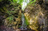 Cerinski vir Waterfall