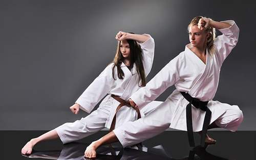 Kyokushin karate klub Bregana Div