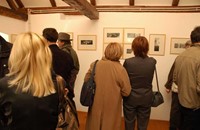 Lang Photo Gallery