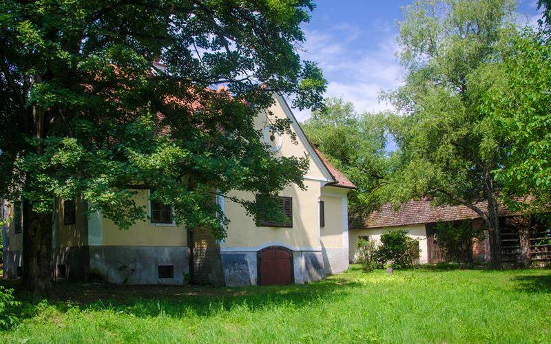 Dvor Mirnovec