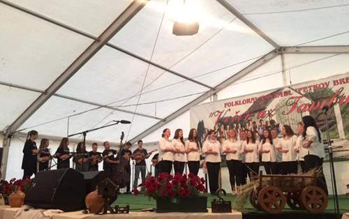 Folklorni ansambl Petkov Breg