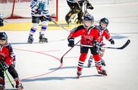 Klub hokeja Samobor Srake