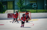 Klub hokeja Samobor Srake