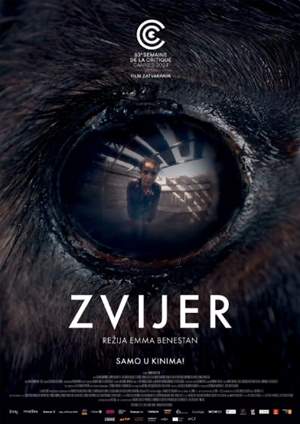 Zvijer
