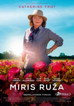 Miris ruža
