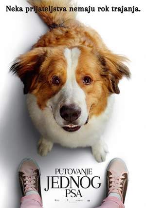 Putovanje jednog psa
