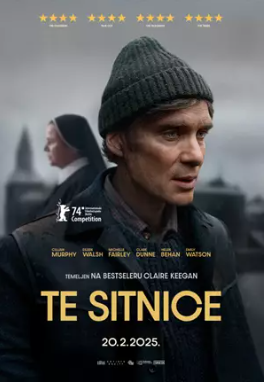 Te sitnice