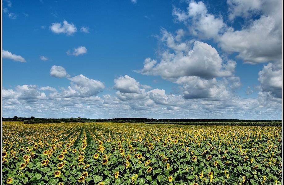 Osnovna izobrazba za održivu uporabu pesticida
