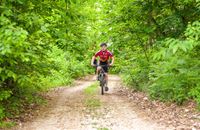 Bike route No. 5